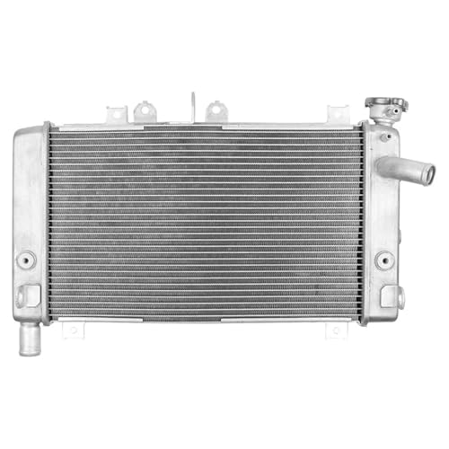 WG^[ ANZT[,N[[ Kawasaki ZX-4R ZX-4RR 2023 2024 ZX4R ZX4RR CNCANZT[ I[goCpEH[^[^N WG[^[N[[ (Silver)