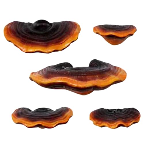 Figurines champignons Ganoderma réalistes lot de 5 décors de jardin durables - 2