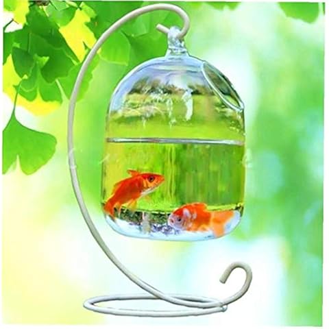 Hotaden Kreative Aquarium Glasvase Fischglas Hängen Vase Aquarium Dekoration Regal Cover