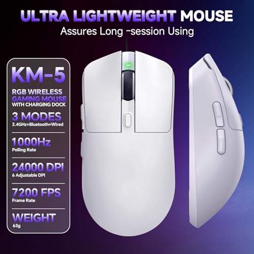 Image of YPBDAN 24000 DPI Wireless Gaming Mouse with RGB Charging Dock