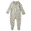 Zanzibar Zebra