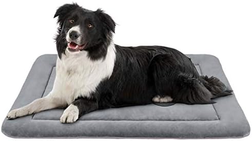 JoicyCo Dog Beds for Medium Dogs 36in Crate Pad Mat Washable Non-Slip Bottom Pet Bed Cat Beds Mattress Kennel Pad