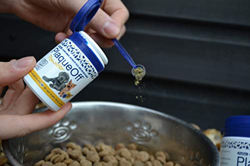 Proden Plaqueoff Powder – Supports Normal, Healthy Teeth, Gums, And Breath Odor In Pets – 420 G #TOP4