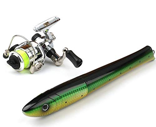 Mini Portable Fishlike Fishing Rod Telescopic Fishing Pole Kit with Fishing Rod and Spinning Reel Combo Kit for Saltwater Freshwater (1.6 Meter)