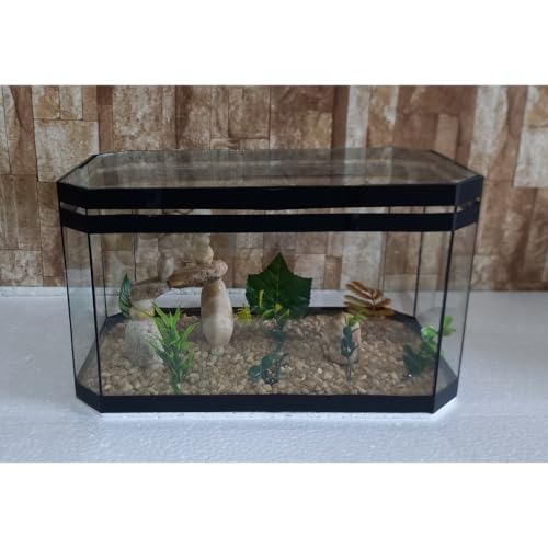 Aquário Beteira Oval 35cm Para Peixe Betta Decorado Ornamentação Exclusiva
