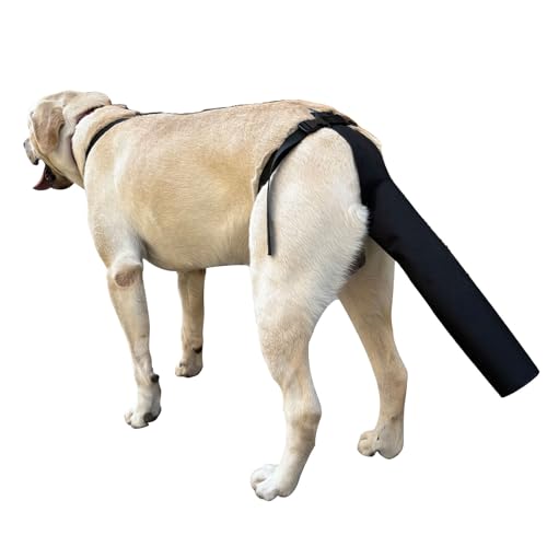 PEUTIER Hundeschwanz Schutz, Hundeschwanzabdeckung für Wunden Schwarzes Hundegeschirr mit Schwanzschutz Hundeschwanzschutzhülle (Größe L)