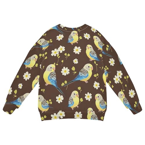 JUNZAN Cute Budgerigar Brown Big Girls Pullover Hoodie Crewneck Kids Hoodies Boys Party 4T2