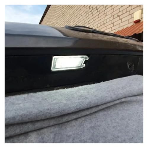 Luz matrícula LED soluciona fallos de iluminación trasera en Dodge Viper 4