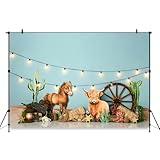 Aurolisa Cute Cowboy Photo Backdrop 7x5ft, Cake Smash Photography backdrops, Kids Children Birthday Party Backdrops for Photoshoot, Backgrounds Booth Photoshoot