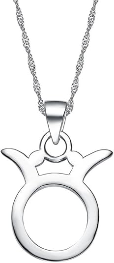 Men's Women's Stainless Steel High Polished 12 Constellations Horoscope Signs Symbol Pendant Simple Couple Necklace