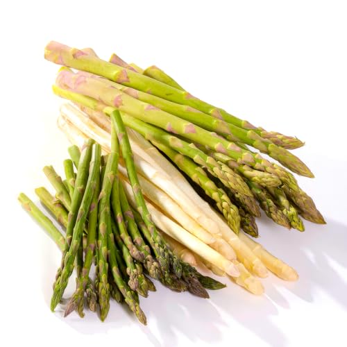 Spargel Pflanzen Super Kollektion (10 frigo A+ Stück) Winterharte mischung von 5 Sorten Mehrjährig gekühlte schnellwachsende spargelpflanzen aus Holland (kein Samen nicht künstlich zwiebeln)