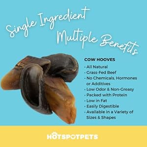 Full-Size-Cow-Hooves-for-Dogs-All-Natural-Long-Lasting-Dog-Chews-Made-from-Grass-Fed-Cattle-Tasty-Treat-for-Oral-Hygiene-Fantastic-Alternative-for-Rawhide-and-Bully-Sticks-25-Pack - Cucciolini Doodles   Full-Size-Cow-Hooves-for-Dogs-All-Natural-Long-Lasting-Dog-Chews-Made-from-Grass-Fed-Cattle-Tasty-Treat-for-Oral-Hygiene-Fantastic-Alternative-for-Rawhide-and-Bully-Sticks-25-Pack
