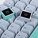 iRoboosta Cherry Profile PBT Keycaps, 171 Key Double Shot Custom Key caps Set for Cherry MX Switches Mechanical Keyboard (Shark)