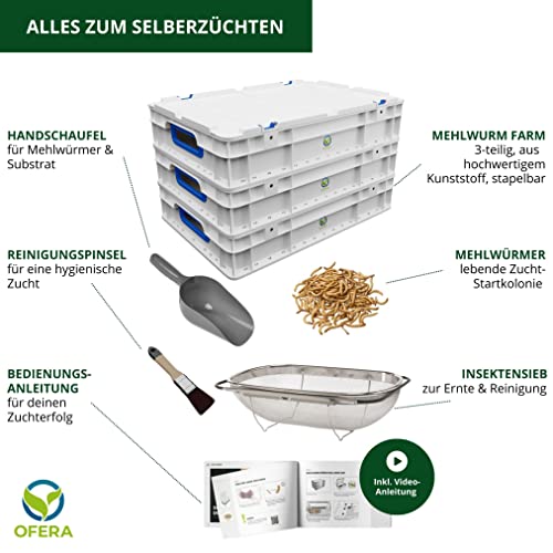 OFERA Mehlwurm Farm Zucht [Set] für Mehlwürmer Insekten als Hühnerfutter Vogelfutter Wildvögel ganzjährig Fischfutter Wurmkiste Komposter Mehlwürmer lebend Futter Hühner Zubehör Kompost Dünger Bio