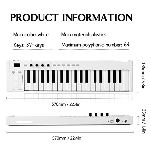 WJCCY 37 Touches Multi-funcations Midi Clavier Portable Electronic Piano numérique orchestrations Instrument de Musique… - Les Beatles, Paul McCartney, John Lennon, RIngo Starr, George Harrison WJCCY 37 Touches Multi-funcations Midi Clavier Portable Electronic Piano numérique orchestrations Instrument de Musique… – Image 3