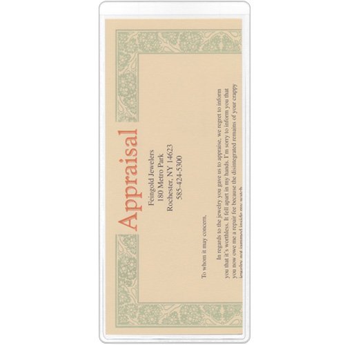 StoreSMART® - Clear Plastic Brochure/Policy/Ticket Holders - 10 Pack - RR9124-10