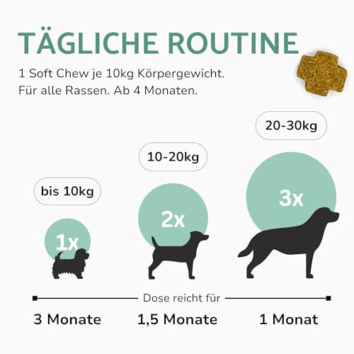 PUURY® Gelenk-Komplex für Hunde | Unterstützt Knochen & Gelenke | Leckerer als Gelenktabletten | Mit Grünlippmuschel, Kollagen, Kurkuma, Glucosamin, Lachsöl | 90 Leckerlis (270g), 3 Monatsvorrat