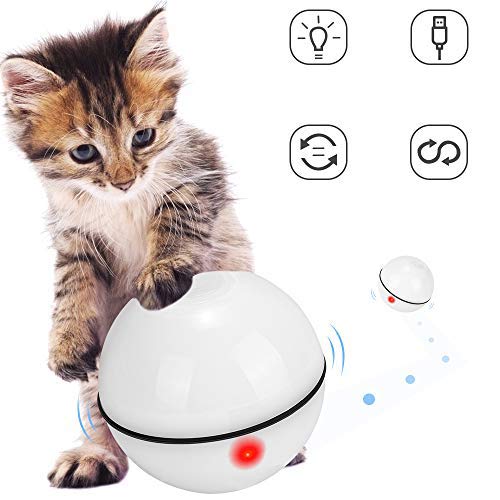 juguetes para gatos cachorros