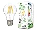 greenandco® CRI90+ Glühfaden LED Lampe ersetzt 48 Watt E27 Birne, 6W 600 Lumen 2700K warmweiß Filament Fadenlampe 360° 230V AC nur Glas, nicht dimmbar, flimmerfrei, 2 Jahre Garantie