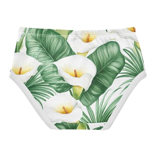 Botanical White Calla Lilies Green Leaves Girls Underwear Toddler 2t Cotton Little Girl Panties Fun Kids Undies Briefs2