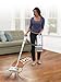 Shark Navigator Professional Upright Corded Bagless Carpet and Hard Floor with Lift-Away Hand Vacuum and Anti-Allergy Seal (NV370), White and Silver