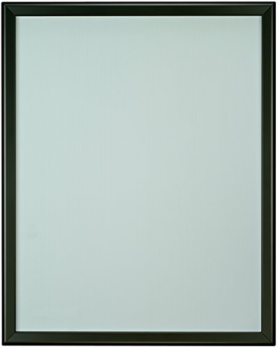 MDI-Worldwide 825BKFP Aluminum PosterGrip Frame, 28