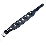 23 cm lang & 3 cm breit, 28 g Armband mit 7 kleinen Killernieten, Punk