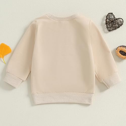 Toddler Baby Boy Fall Clothes Letter Print Long Sleeve Round Neck Sweatshirt Little Kids Pullover Tops3