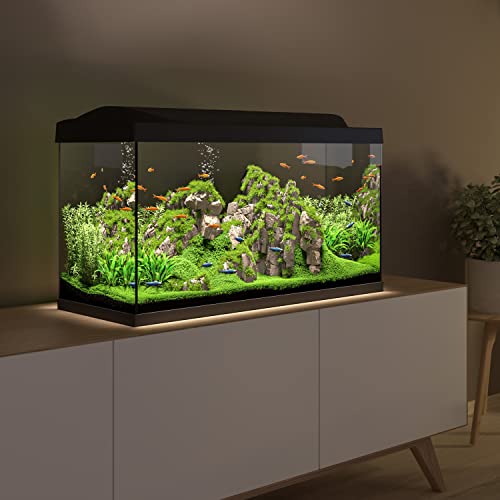 Tetra Starter Line 105 L Aquarium Komplett-Set - inkl. Tag- & Nachtlicht LED-Beleuchtung, Innenfilter, Heizer, Fischfutter und Wasseraufbereiter