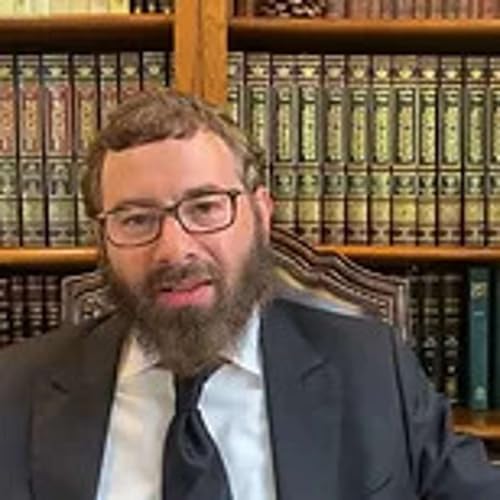 Couverture de Rabbi Dov Greenberg, Synopsis - Sicha 2