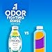 Downy Rinse Laundry Odor Remover, Cool Cotton Scent, 48 fl oz, Fabric Softener And Laundry Odor Removal Rinse, Fights Odors At The Source, HE Compatible