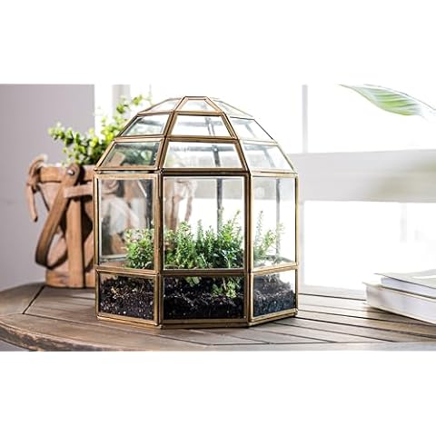 Urban Born Handmade Birdcage Large Glass Terrarium — 10" x 9" x 9" (Brass) Cover