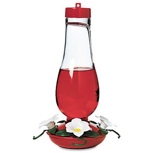 Audubon Glass Hummingbird Feeder, 24Ounce Amazon.in Garden & Outdoors
