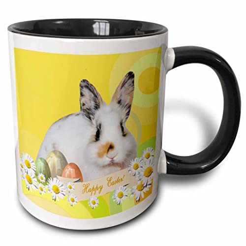 3dRose Calico Bunny Rabbit with Daisy Flowers and Three Eggs Happy Easter Two Tone Mug, 1...