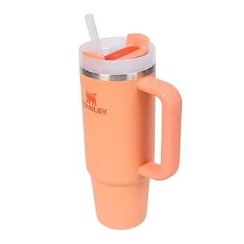 Stanley - 【日本未発売】スタンレー　チタンシリーズ　トラベルマグ　水筒　ウオーターボトル 日本未発売】スタンレー チタンシリーズ トラベルマグ 水筒