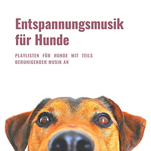 MIGOHI Hunde-Angstweste - Beruhigender Druckmantel Für Feuerwerk & Gewitter, Verstellbar