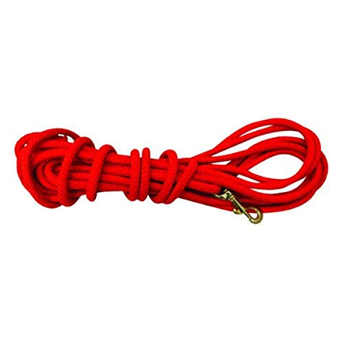 Mud River The Scout Collar (Green, X-Large)