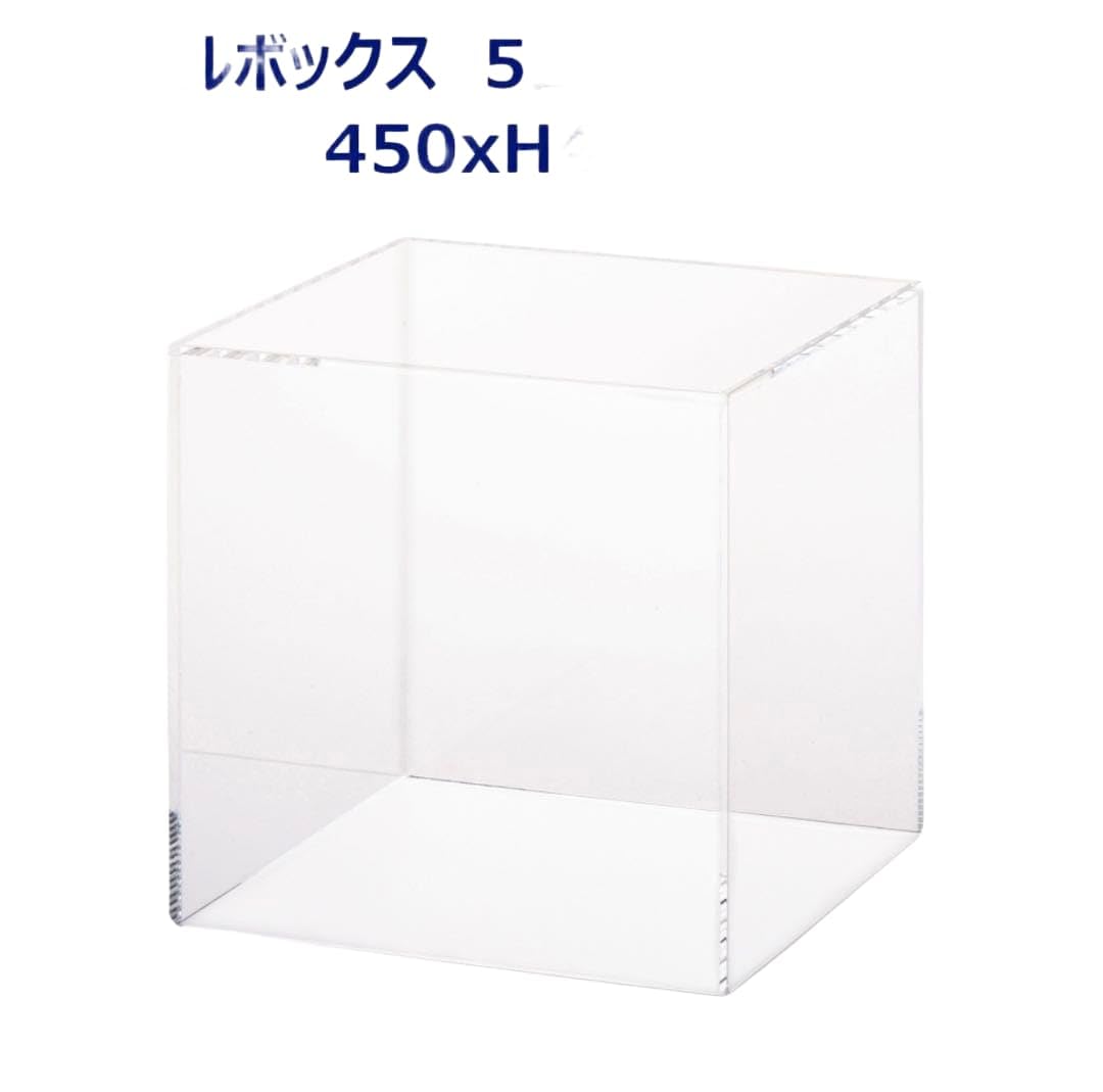 Amazon.co.jp: アクリルボックス 5面体 W450xD450xH450mm 鈴木