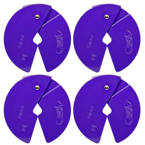 Image of Micro Gainz 2.5LB Dumbbell Fractional Weight Plates, 4-Piece