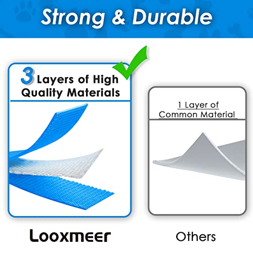 Looxmeer Training Lead for Dogs 10m/33ft Long Line Dog Lead for Large Medium Small Dogs Recall Obedience Dog Training Leads - Image 2