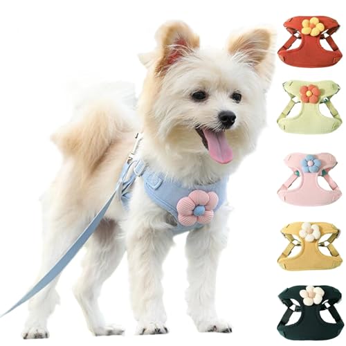  n[lX lC ^  ́[˂ps[pn[lX [h [hZbg SȂ  D SȂybgn[lX UL n[lXg  p ybg{Et EȒP ꌢ ^ Lp RX`[  