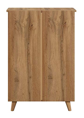 Image of DeckUp Plank Alvo 2-Door Engineered Wood Shoe Rack (Wotan Oak and White. Matte Finish)