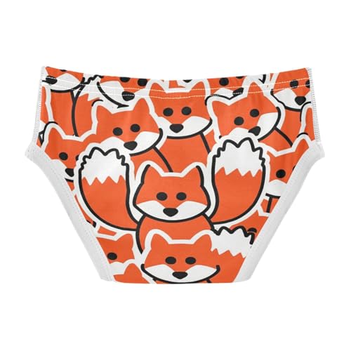 visesunny Boys Cotton Underwear Cute Seamless Fox Printed Toddler Soft Training Briefs Size 2T-8Y for Kids2
