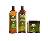 KERARGANIC Formaldehyde-Free Organic Keratin Treatment Set (32 oz/946 ml) - Natural Ingredients, Eliminate Frizz, Reduce Volume, Repair Damaged Hair
