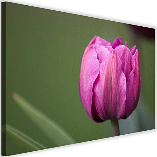 Photo sur toile tulipe rose 100x70 grand tableau fleur nature