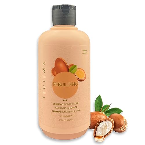 TEOTEMA, Champu sin Parabenos con Benzoato de Sodio, Shampoo Reconstructor e Hidratante para Cabello Dañado y Seco, Champu Rico en Vitamina E, Aceite Argan'