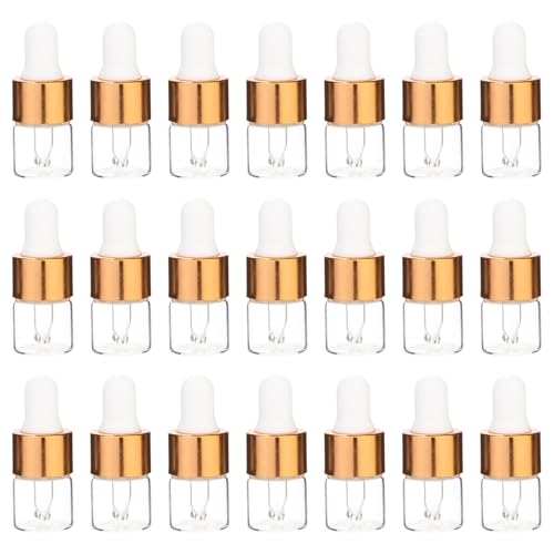 m[uhi sAm^S ȏS 20 wp y gѕ֗ J p