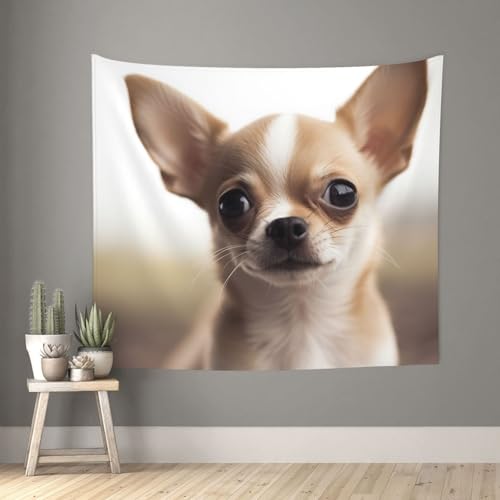 Tapisserie chihuahua drôle kkvhhyuo 152x140 cm pour déco murale