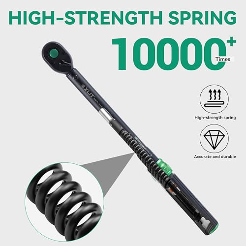Image of Click Torque Wrench, Dual-Direction Adjustable 72 Tooth Ratchet, ±3% Accuracy, Small Torque Wrench for Bike, Motorcycle and Car Repair (1 /2 inch, 6PCS)
