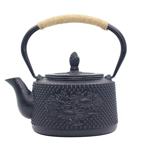 Théière en fonte de fer bouillie FANDIAO 850 ML kettle kungfu pour thé
